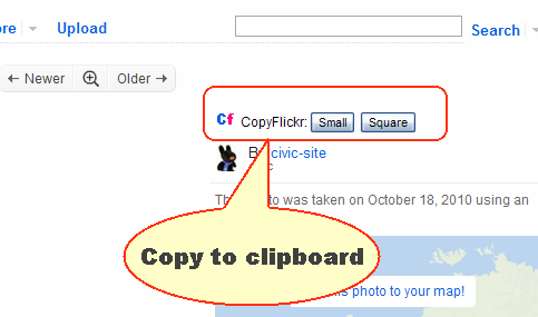 copy-flickr